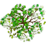 Arbre 1