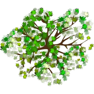 Arbre 1