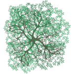 Arbre 10