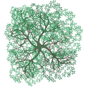 Arbre 10