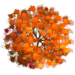 Arbre 11