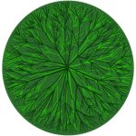 Arbre 4