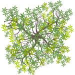 Arbre 6