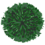 Arbre 7