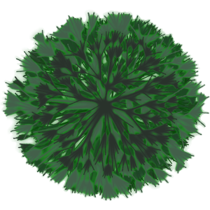 Arbre 7