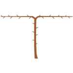 Arbre cordon 2 bras