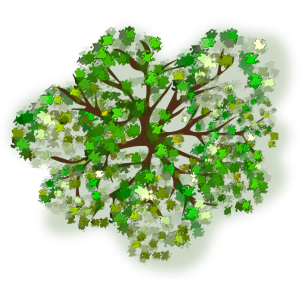Arbre feuillu 1