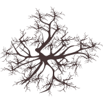 Arbre hiver 2