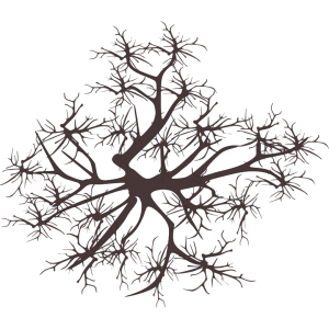 Arbre hiver 2