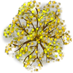 Arbre jaune