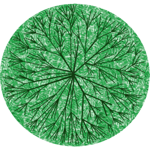 Arbre 2.