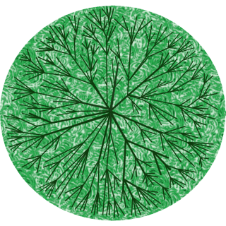 Arbre 2.