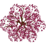Arbre rouge 1