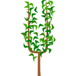 Arbre en U simple