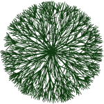 Arbuste branche