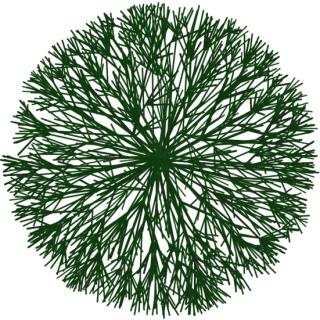 Arbuste branche