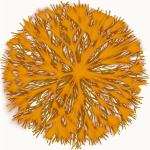 Arbuste jaune