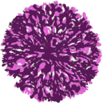 Arbuste rose pourpre