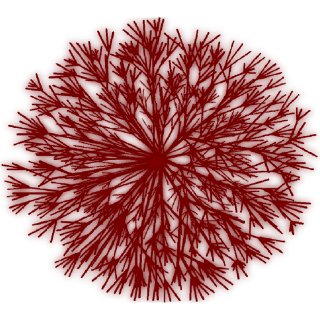 Arbuste rouge