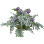 Artichaut violet