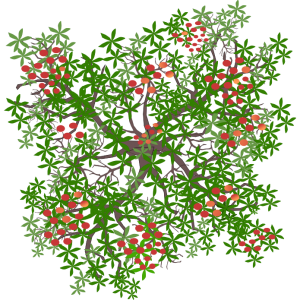 Brugnonier