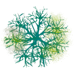 Buisson 10