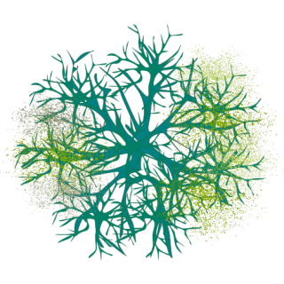 Buisson 10