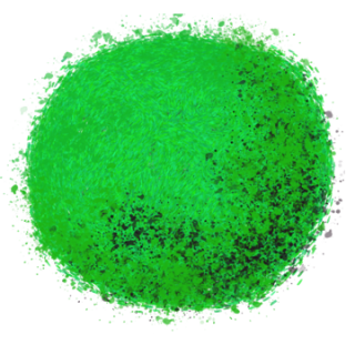 Buisson 2