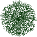 Buisson 3