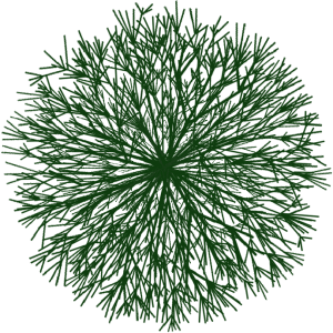 Buisson 3