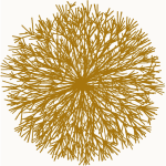 Buisson 4