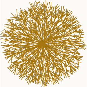 Buisson 4