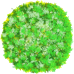 Buisson 8