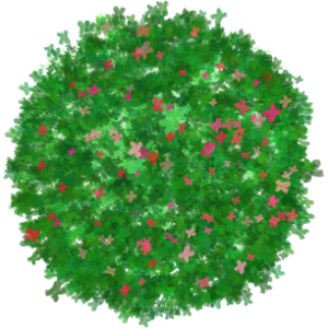 Buisson fleur 2