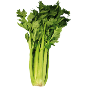 Céleri branche