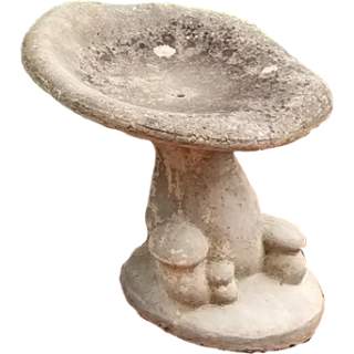 Champignon 2