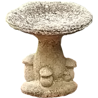 Champignon 3