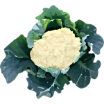 Chou-fleur