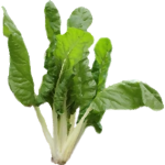 Chou Pak choi