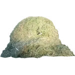 Foin