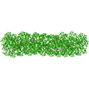 Haie rectangulaire 2
