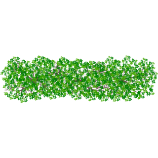 Haie rectangulaire 2