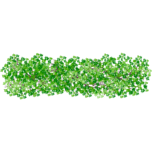 Haie rectangulaire 3