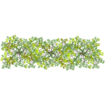 Haie rectangulaire