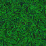 Herbe2