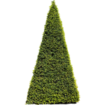 If pyramide