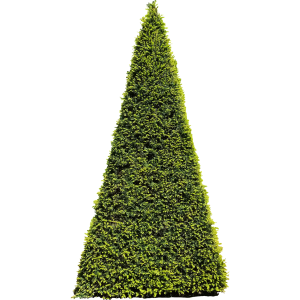 If pyramide