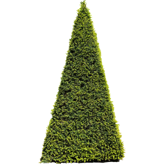 If pyramide