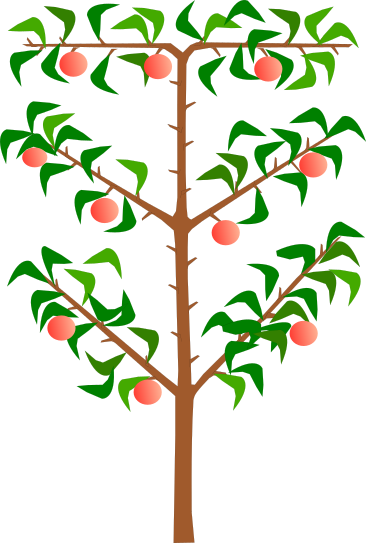 Palmette oblique à étages