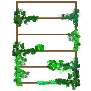 Pergola Bois